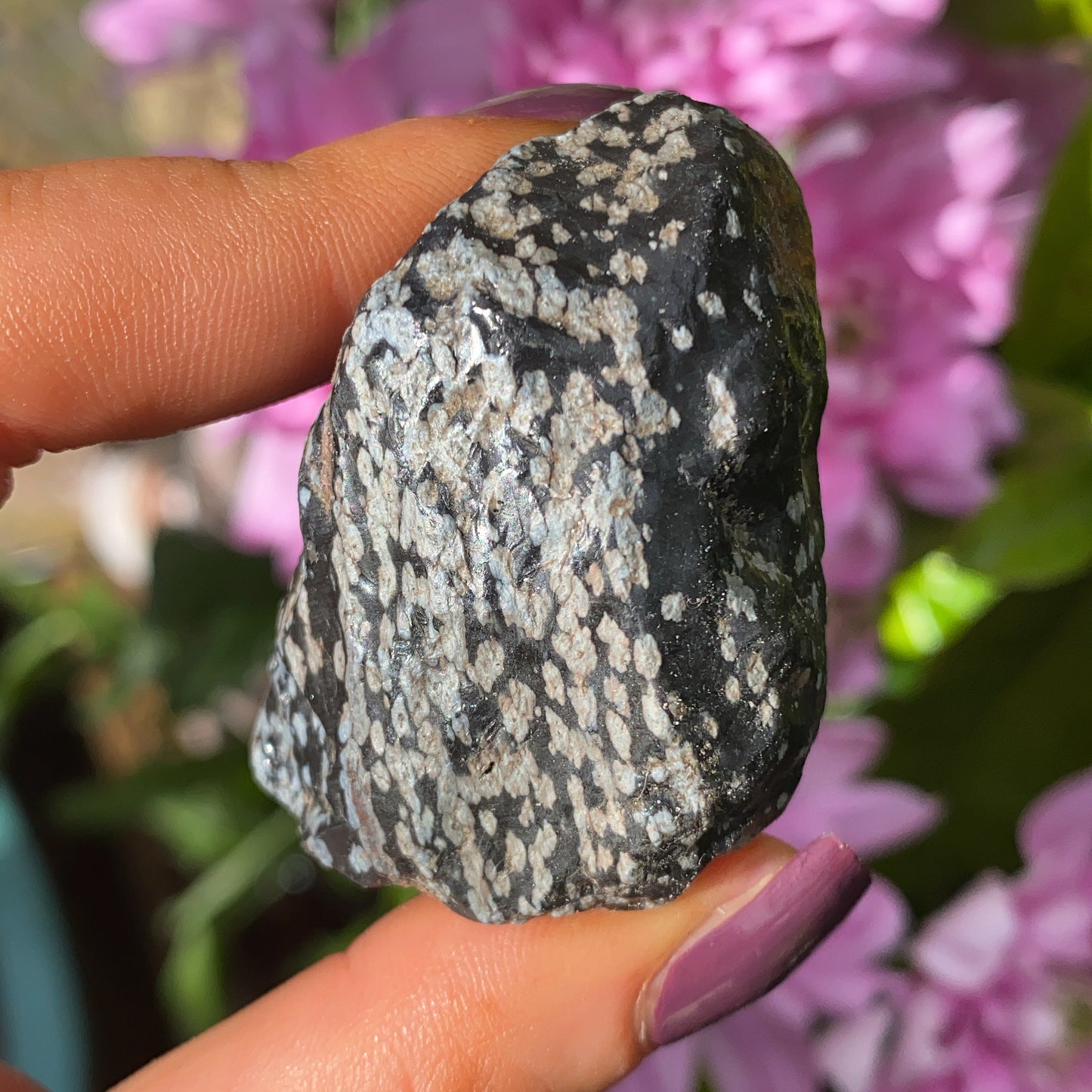 Snowflake Obsidian Rough Crystal