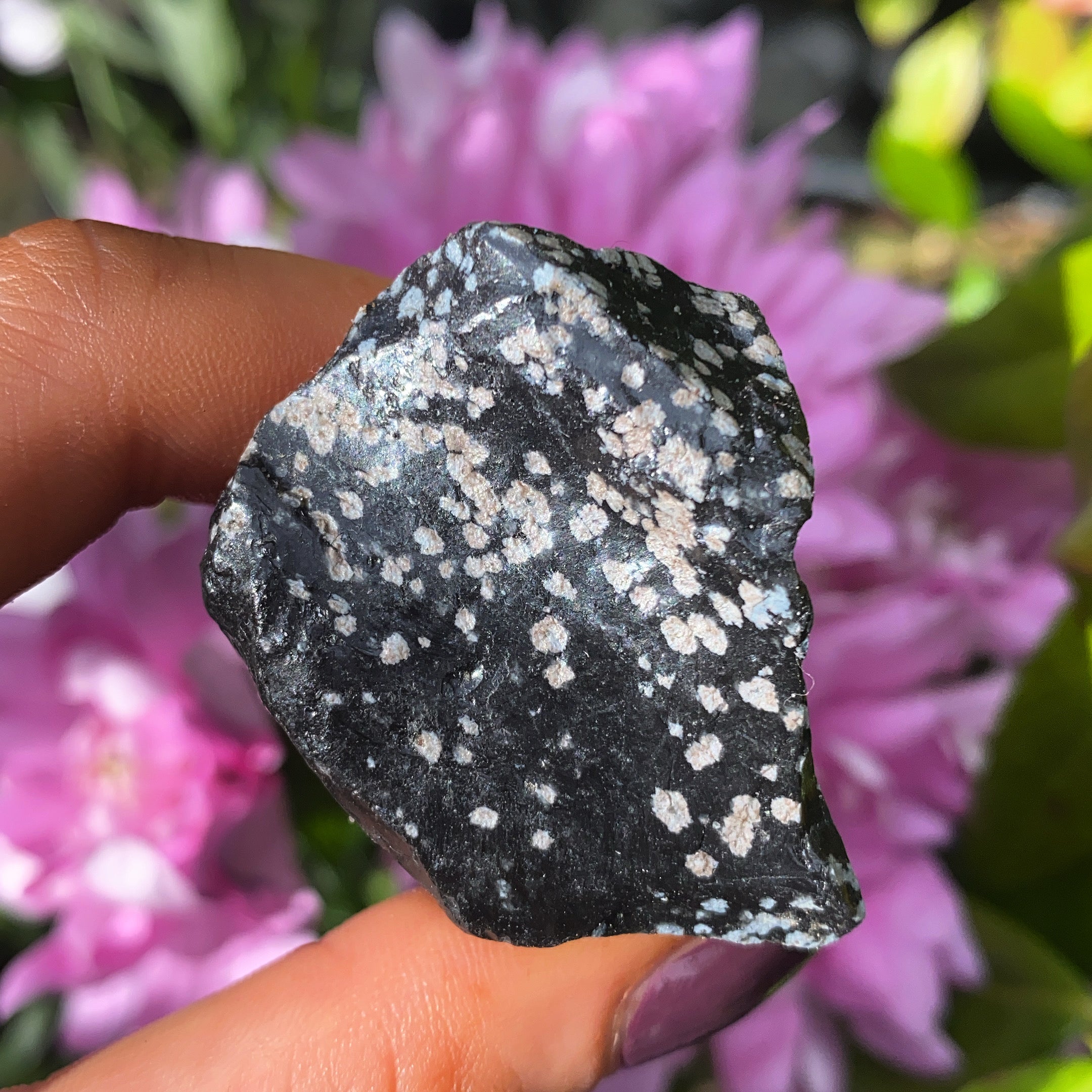 Snowflake Obsidian Rough Crystal – Endless Guidance