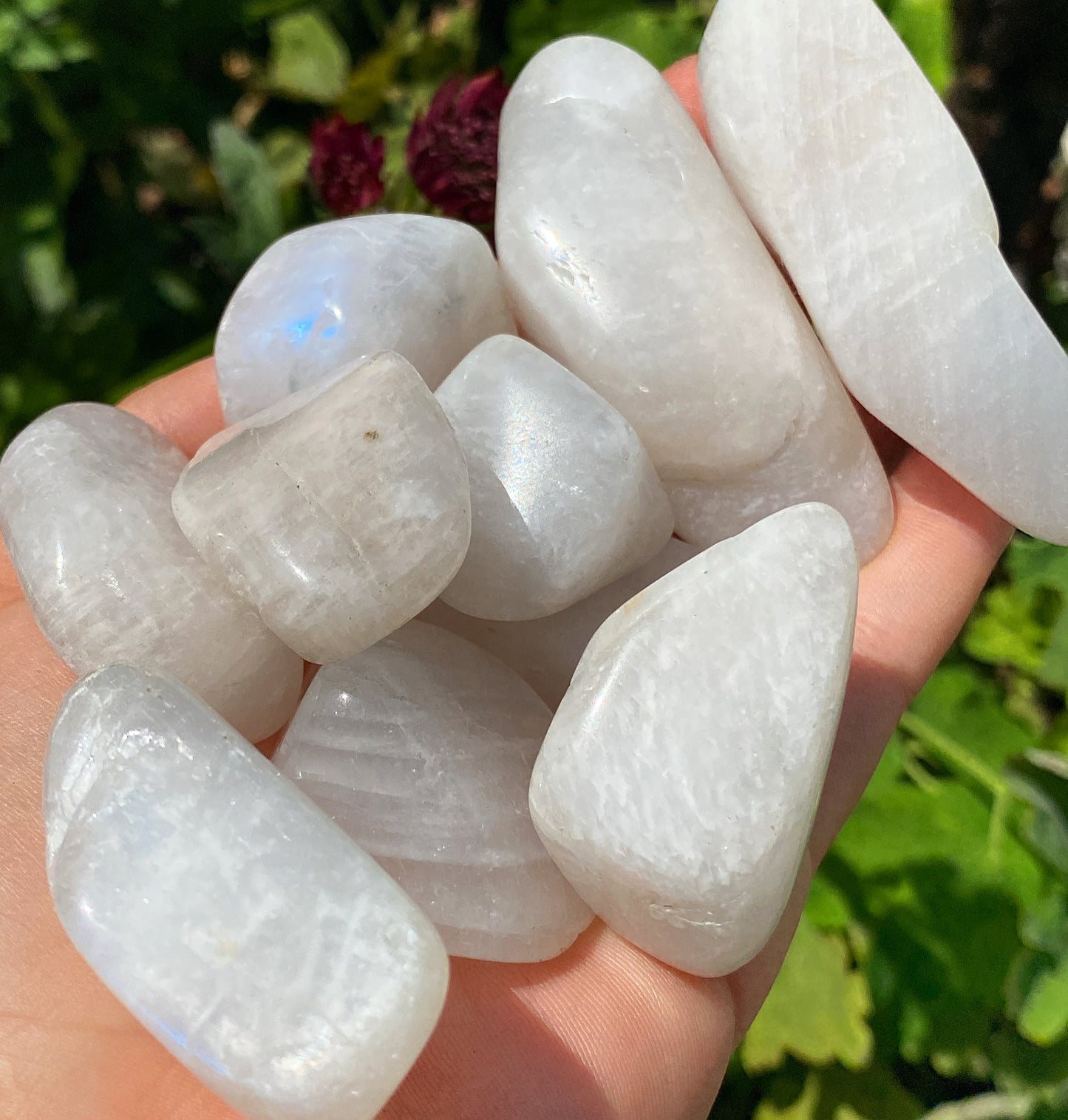 White Moonstone Tumblestones