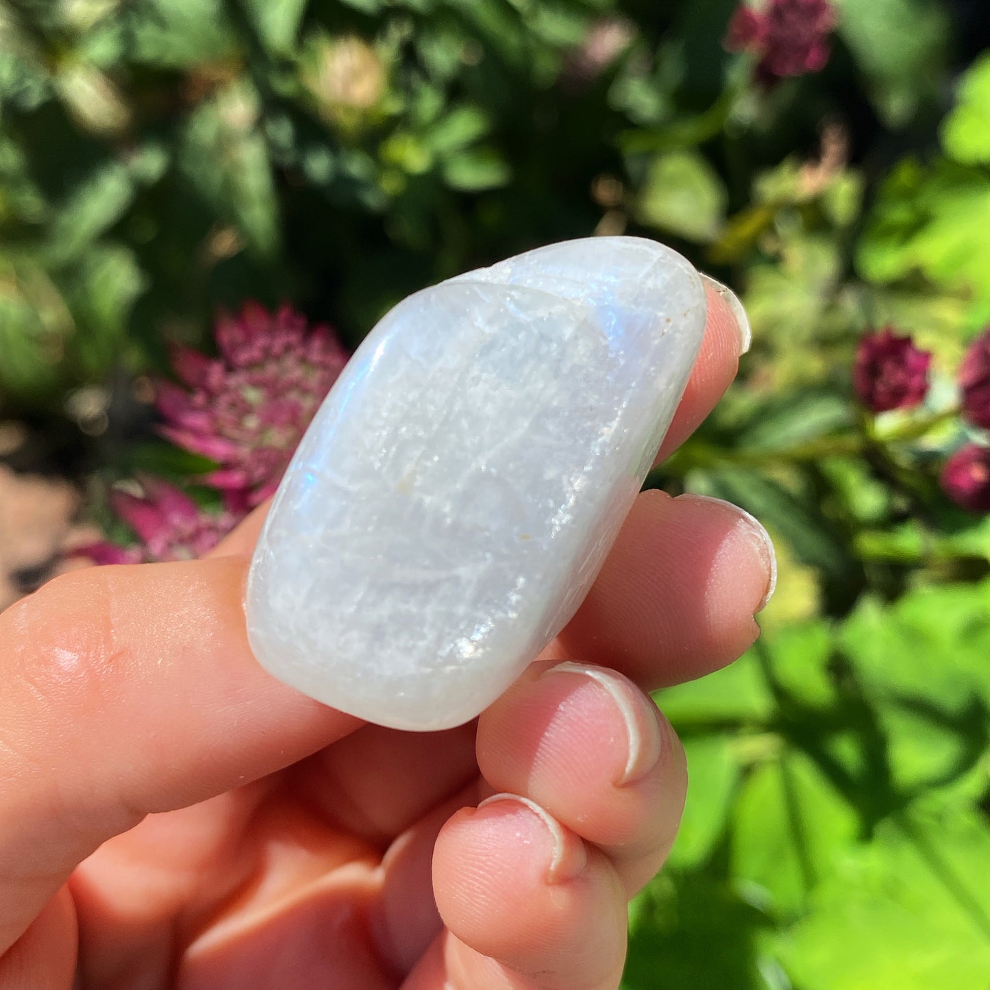 White Moonstone Tumblestones