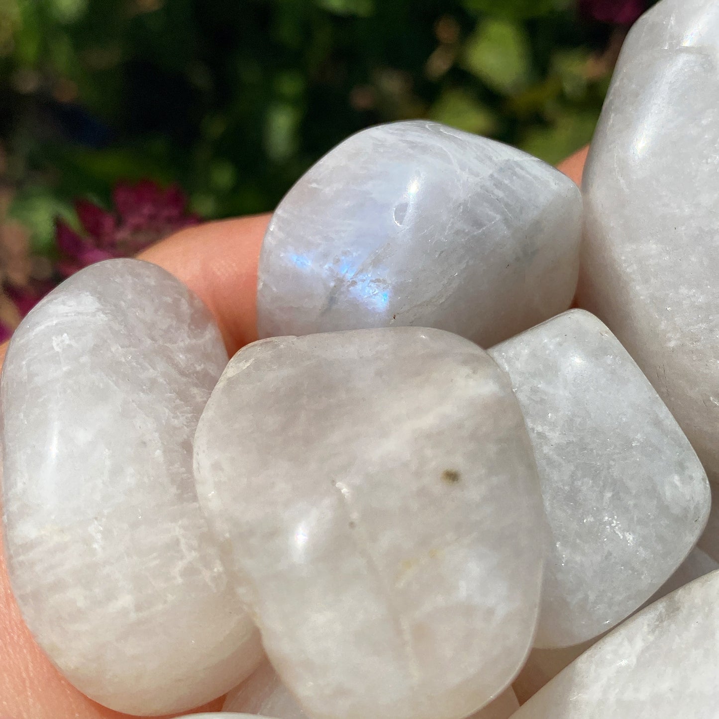 White Moonstone Tumblestones